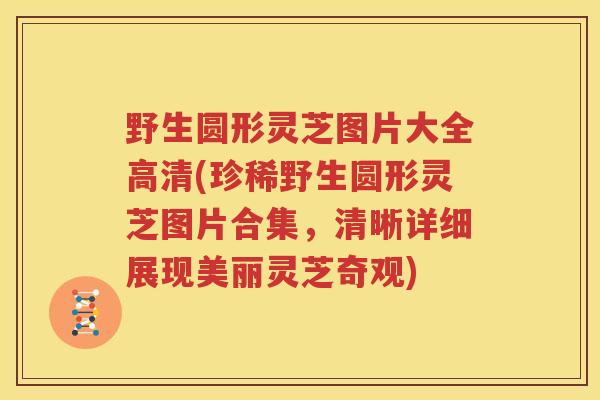 野生圆形灵芝图片大全高清(珍稀野生圆形灵芝图片合集，清晰详细展现美丽灵芝奇观)