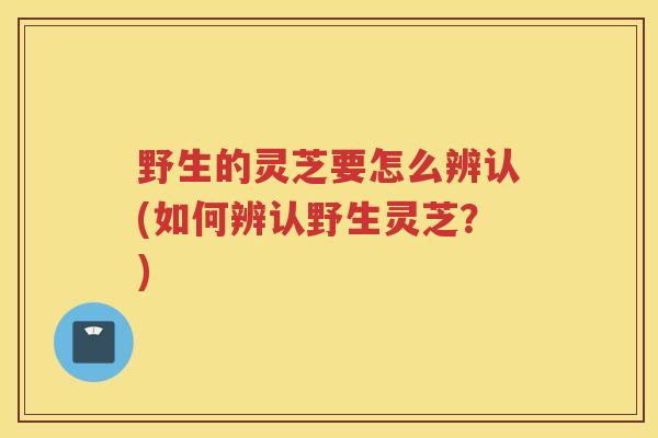 野生的灵芝要怎么辨认(如何辨认野生灵芝？)