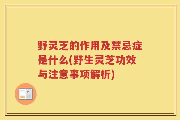 野灵芝的作用及禁忌症是什么(野生灵芝功效与注意事项解析)
