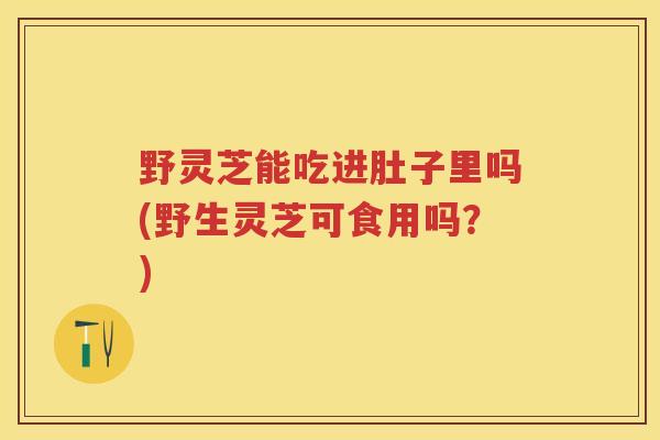 野灵芝能吃进肚子里吗(野生灵芝可食用吗？)