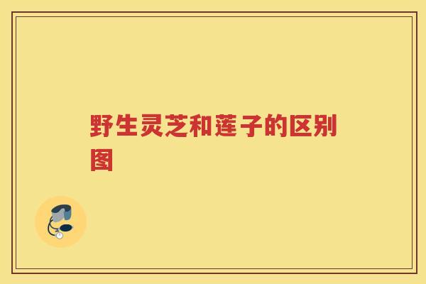 野生灵芝和莲子的区别图
