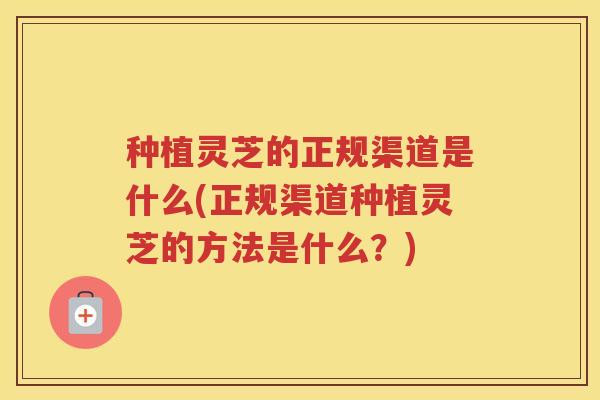 种植灵芝的正规渠道是什么(正规渠道种植灵芝的方法是什么？)