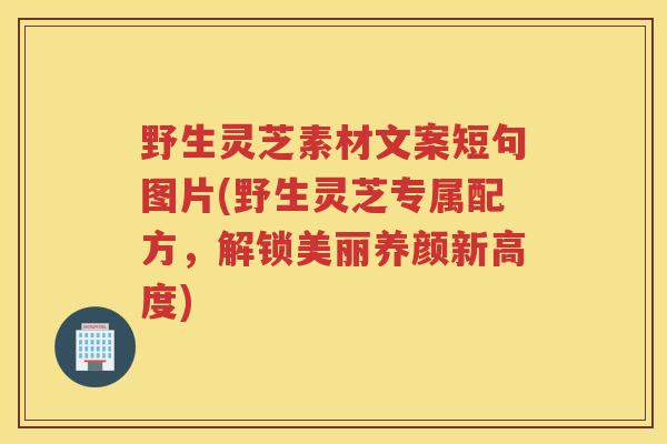 野生灵芝素材文案短句图片(野生灵芝专属配方，解锁美丽养颜新高度)