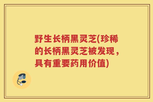 野生长柄黑灵芝(珍稀的长柄黑灵芝被发现,具有重要药用价值) 野生长柄黑灵芝(珍稀的长柄黑灵芝被发现,具有重要药用价值)
