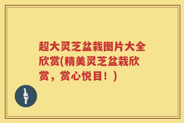 超大灵芝盆栽图片大全欣赏(精美灵芝盆栽欣赏，赏心悦目！)