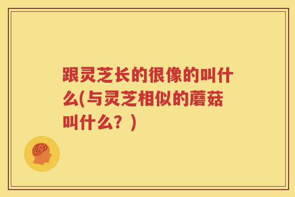 跟灵芝长的很像的叫什么(与灵芝相似的蘑菇叫什么？)