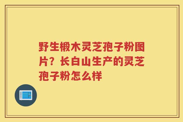 野生椴木灵芝孢子粉图片？长白山生产的灵芝孢子粉怎么样