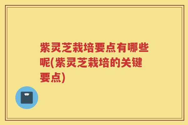 紫灵芝栽培要点有哪些呢(紫灵芝栽培的关键要点)