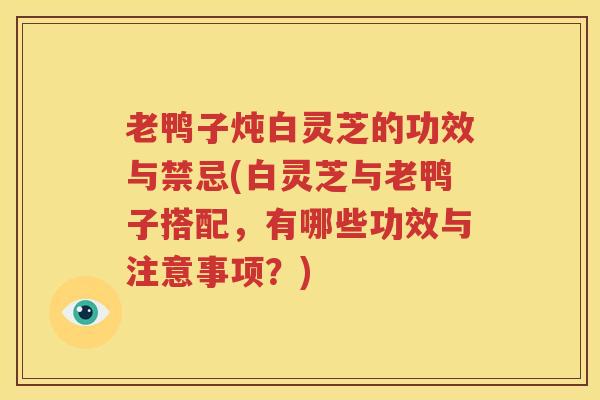 老鸭子炖白灵芝的功效与禁忌(白灵芝与老鸭子搭配，有哪些功效与注意事项？)