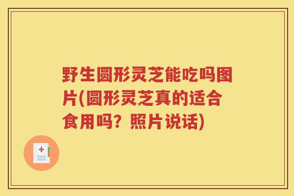 野生圆形灵芝能吃吗图片(圆形灵芝真的适合食用吗？照片说话)