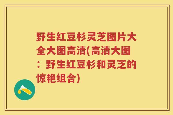 野生红豆杉灵芝图片大全大图高清(高清大图：野生红豆杉和灵芝的惊艳组合)