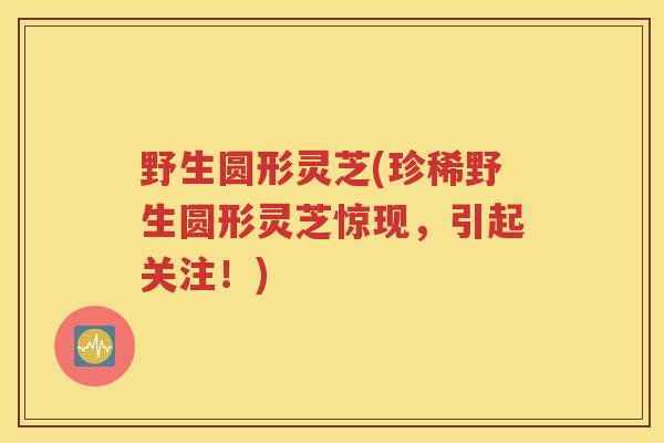 野生圆形灵芝(珍稀野生圆形灵芝惊现，引起关注！)