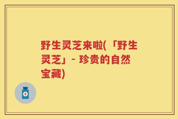 野生灵芝来啦(「野生灵芝」- 珍贵的自然宝藏)