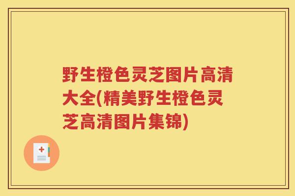 野生橙色灵芝图片高清大全(精美野生橙色灵芝高清图片集锦)