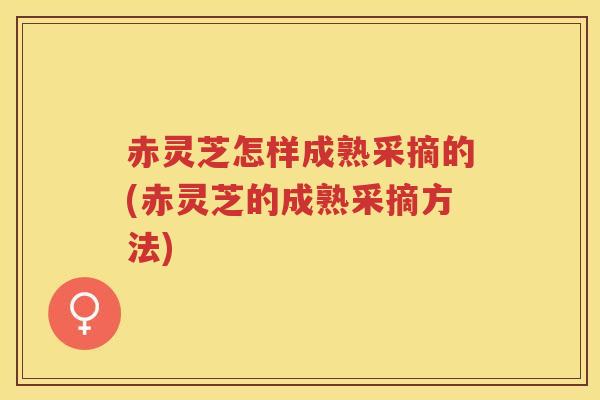 赤灵芝怎样成熟采摘的(赤灵芝的成熟采摘方法)