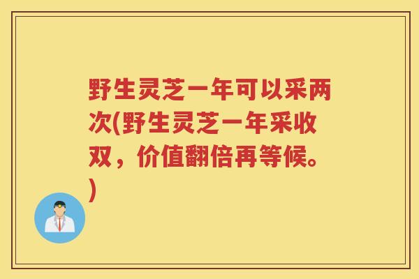 野生灵芝一年可以采两次(野生灵芝一年采收双，价值翻倍再等候。)