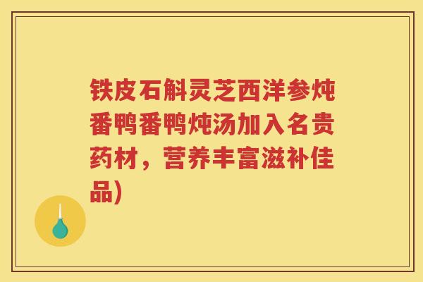 铁皮石斛灵芝西洋参炖番鸭番鸭炖汤加入名贵药材，营养丰富滋补佳品)