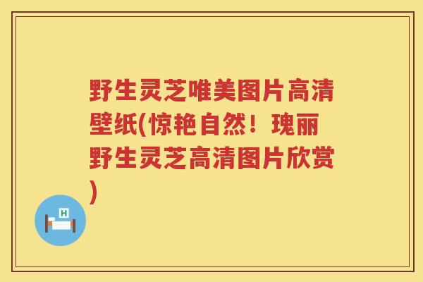 野生灵芝唯美图片高清壁纸(惊艳自然！瑰丽野生灵芝高清图片欣赏)