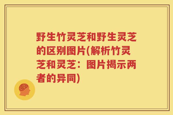 野生竹灵芝和野生灵芝的区别图片(解析竹灵芝和灵芝：图片揭示两者的异同)