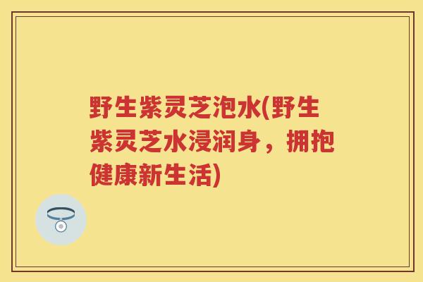 野生紫灵芝泡水(野生紫灵芝水浸润身,拥抱健康新生活) 野生紫灵芝泡水(野生紫灵芝水浸润身,拥抱健康新生活)