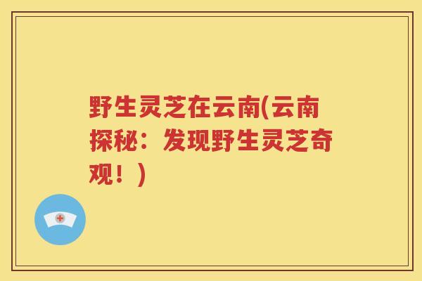 野生灵芝在云南(云南探秘：发现野生灵芝奇观！)