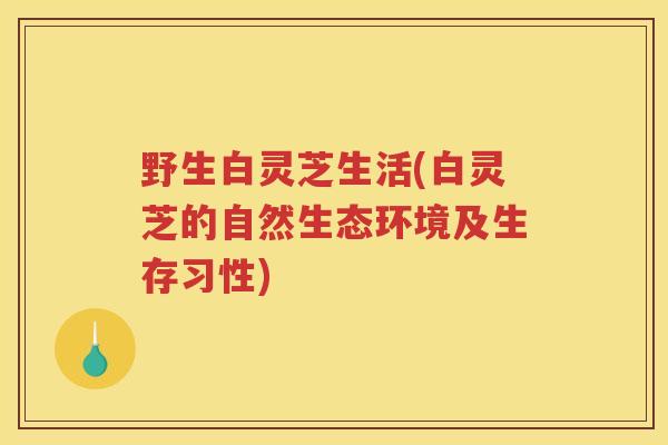 野生白灵芝生活(白灵芝的自然生态环境及生存习性)