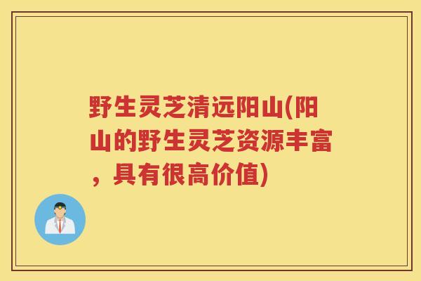 野生灵芝清远阳山(阳山的野生灵芝资源丰富，具有很高价值)
