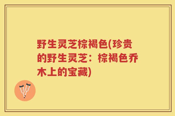 野生灵芝棕褐色(珍贵的野生灵芝：棕褐色乔木上的宝藏)