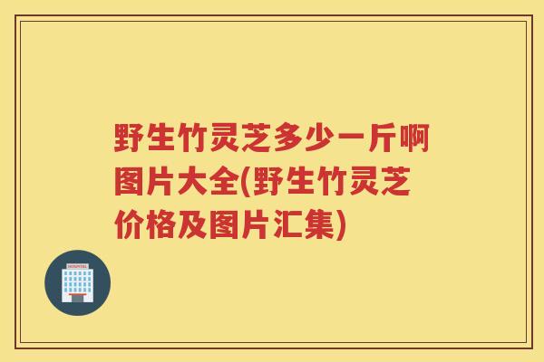 野生竹灵芝多少一斤啊图片大全(野生竹灵芝价格及图片汇集)
