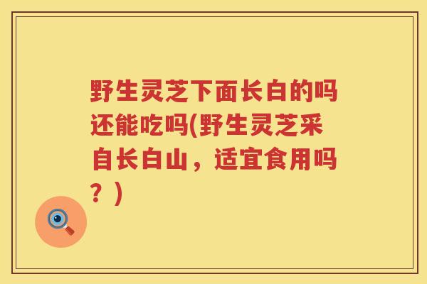 野生灵芝下面长白的吗还能吃吗(野生灵芝采自长白山，适宜食用吗？)