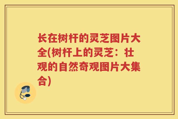 长在树杆的灵芝图片大全(树杆上的灵芝：壮观的自然奇观图片大集合)