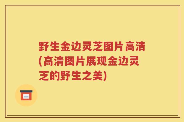 野生金边灵芝图片高清(高清图片展现金边灵芝的野生之美)