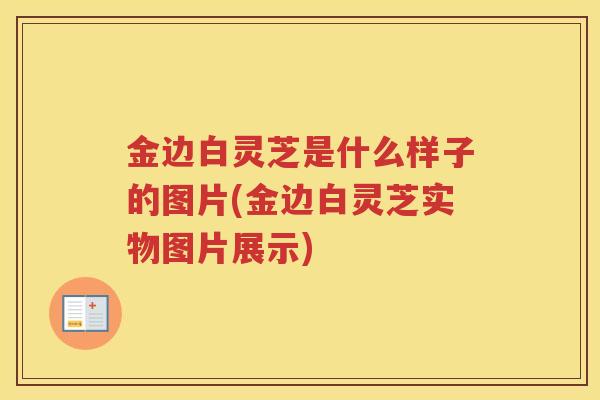 金边白灵芝是什么样子的图片(金边白灵芝实物图片展示)