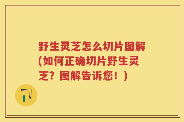 野生灵芝怎么切片图解(如何正确切片野生灵芝？图解告诉您！)