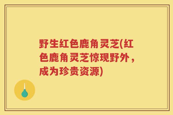 野生红色鹿角灵芝(红色鹿角灵芝惊现野外，成为珍贵资源)