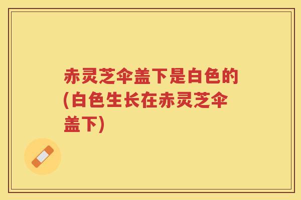 赤灵芝伞盖下是白色的(白色生长在赤灵芝伞盖下)