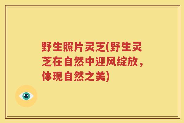 野生照片灵芝(野生灵芝在自然中迎风绽放，体现自然之美)