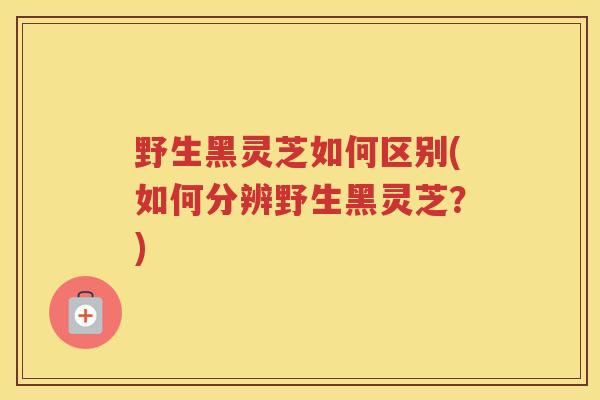 野生黑灵芝如何区别(如何分辨野生黑灵芝？)