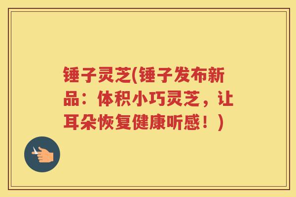 锤子灵芝(锤子发布新品：体积小巧灵芝，让耳朵恢复健康听感！)