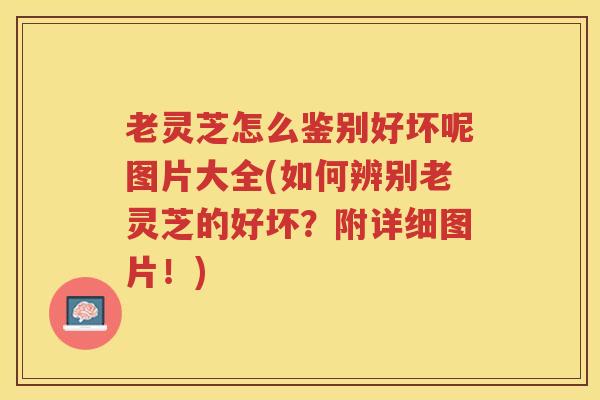 老灵芝怎么鉴别好坏呢图片大全(如何辨别老灵芝的好坏？附详细图片！)