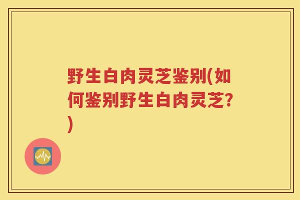 野生白肉灵芝鉴别(如何鉴别野生白肉灵芝？)