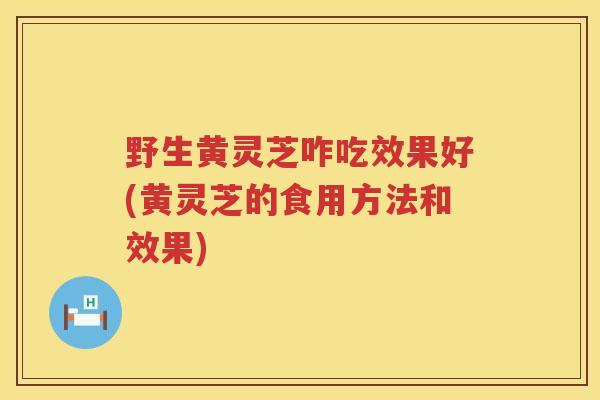 野生黄灵芝咋吃效果好(黄灵芝的食用方法和效果)