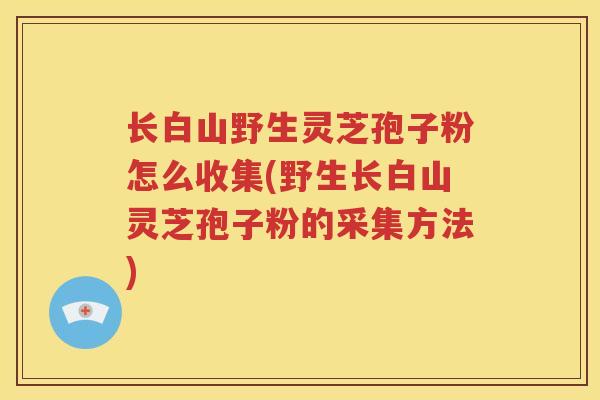 长白山野生灵芝孢子粉怎么收集(野生长白山灵芝孢子粉的采集方法)