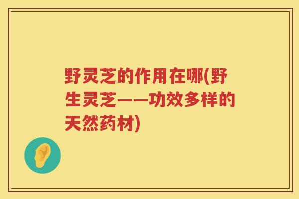 野灵芝的作用在哪(野生灵芝——功效多样的天然药材)