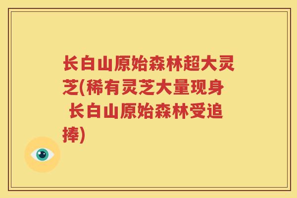 长白山原始森林超大灵芝(稀有灵芝大量现身 长白山原始森林受追捧)