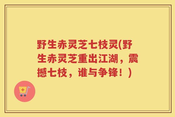 野生赤灵芝七枝灵(野生赤灵芝重出江湖，震撼七枝，谁与争锋！)