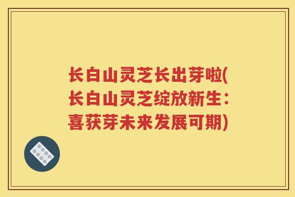 长白山灵芝长出芽啦(长白山灵芝绽放新生：喜获芽未来发展可期)