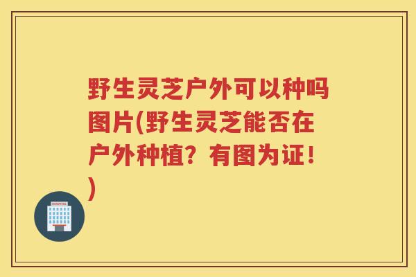 野生灵芝户外可以种吗图片(野生灵芝能否在户外种植？有图为证！)