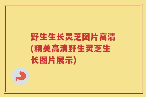 野生生长灵芝图片高清(精美高清野生灵芝生长图片展示)