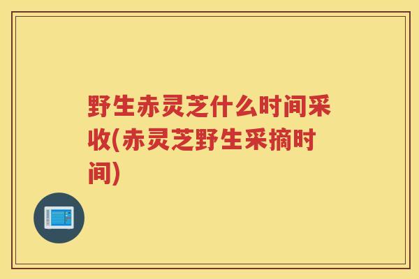 野生赤灵芝什么时间采收(赤灵芝野生采摘时间)